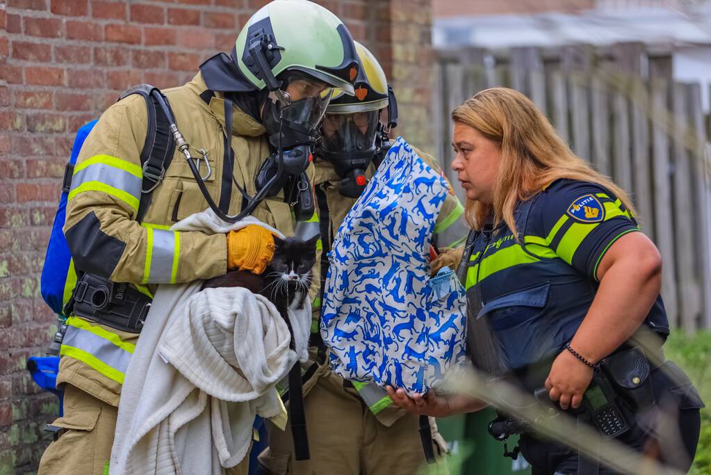 Huisdieren gered bij flinke brand in flatgebouw