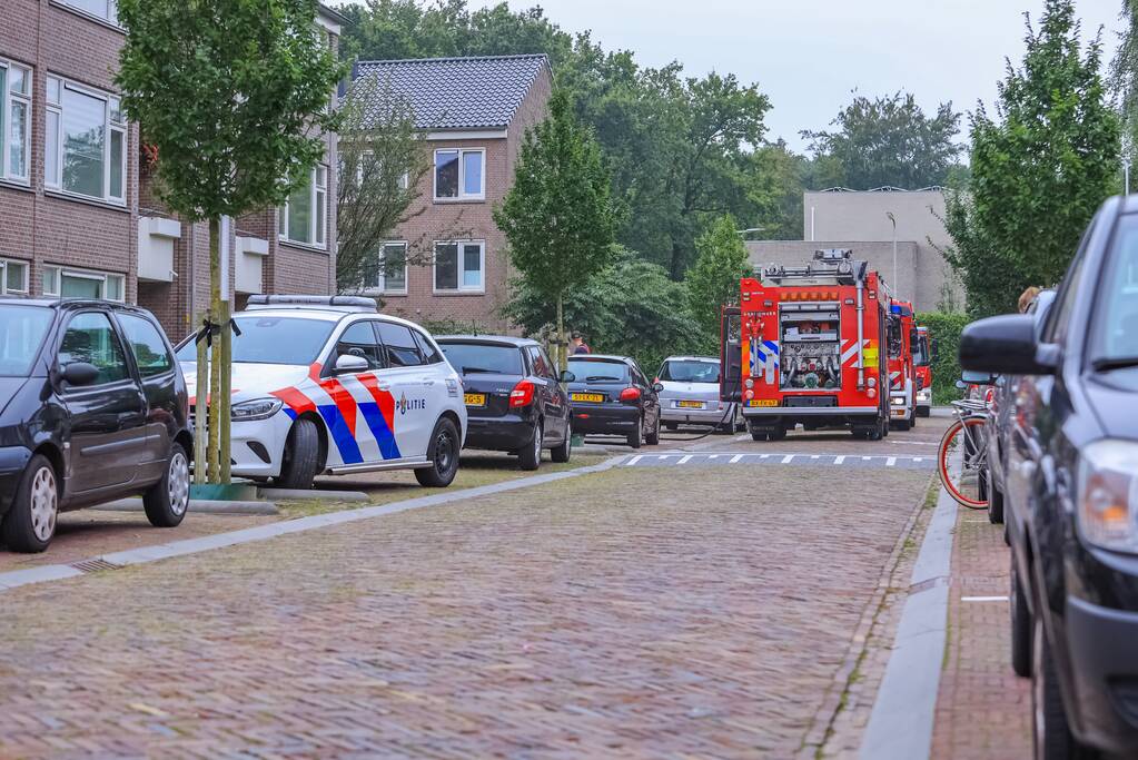 Huisdieren gered bij flinke brand in flatgebouw