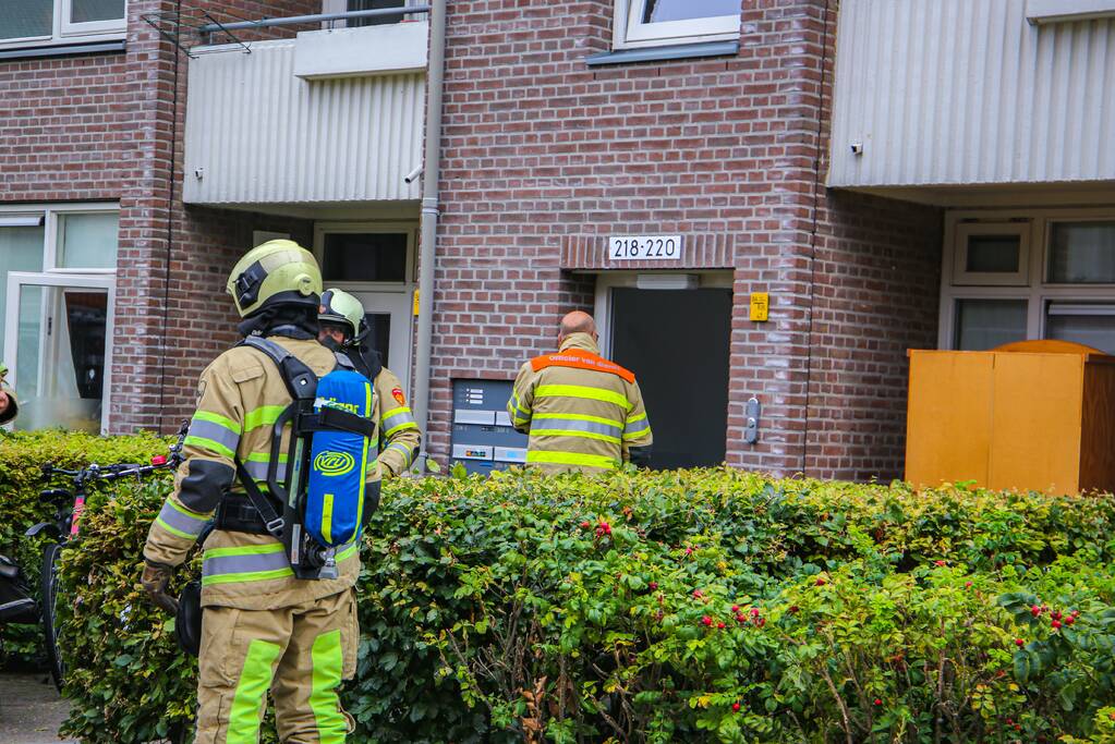 Huisdieren gered bij flinke brand in flatgebouw