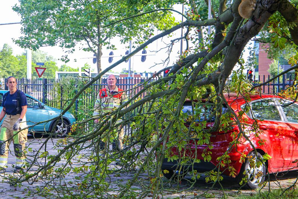 Grote tak breekt af en beschadigt personenwagen
