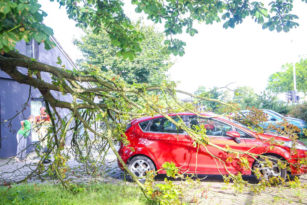 Grote tak breekt af en beschadigt personenwagen