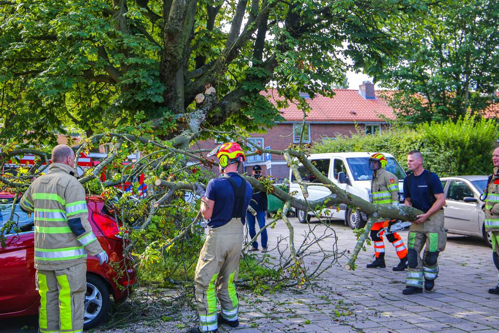 Grote tak breekt af en beschadigt personenwagen