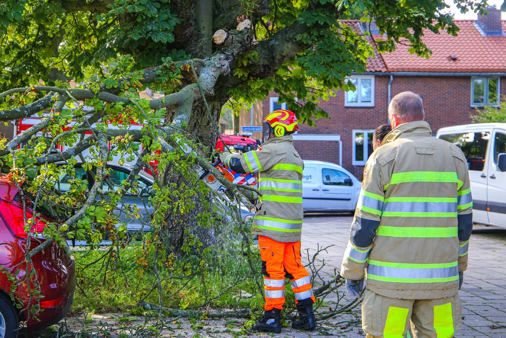 Grote tak breekt af en beschadigt personenwagen