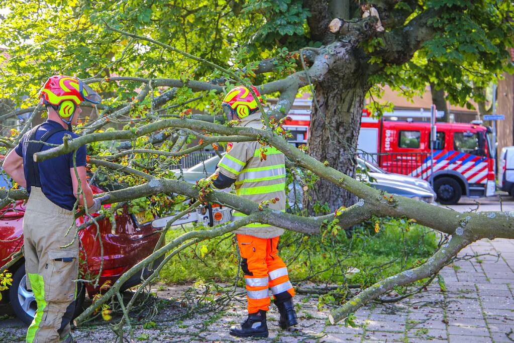 Grote tak breekt af en beschadigt personenwagen