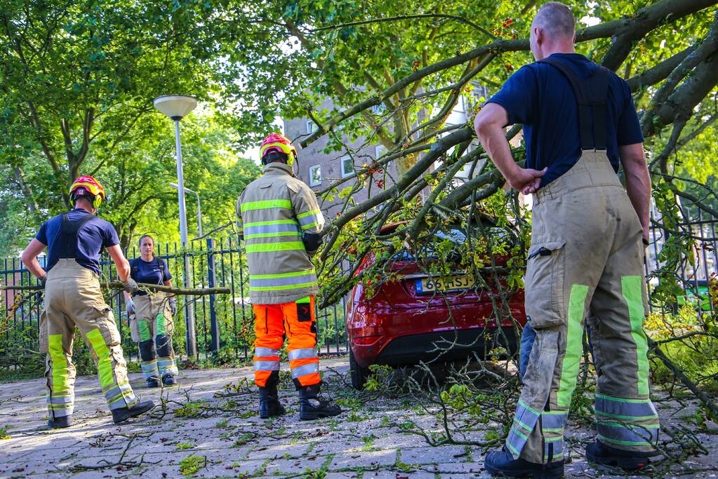 Grote tak breekt af en beschadigt personenwagen