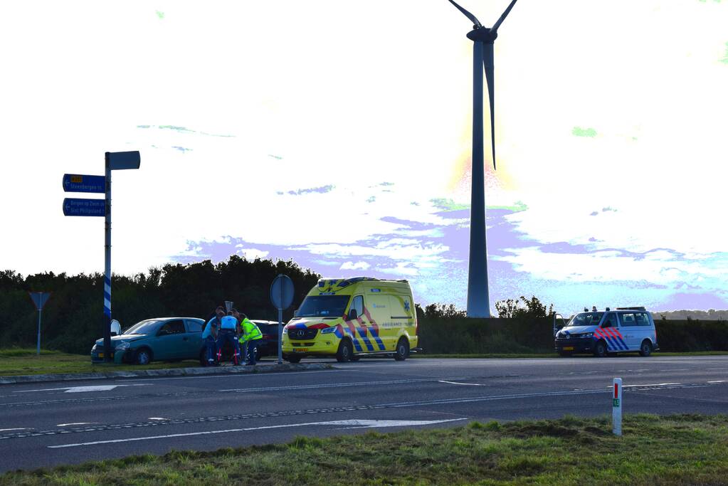 Automobilist botst tegen verkeerspaal