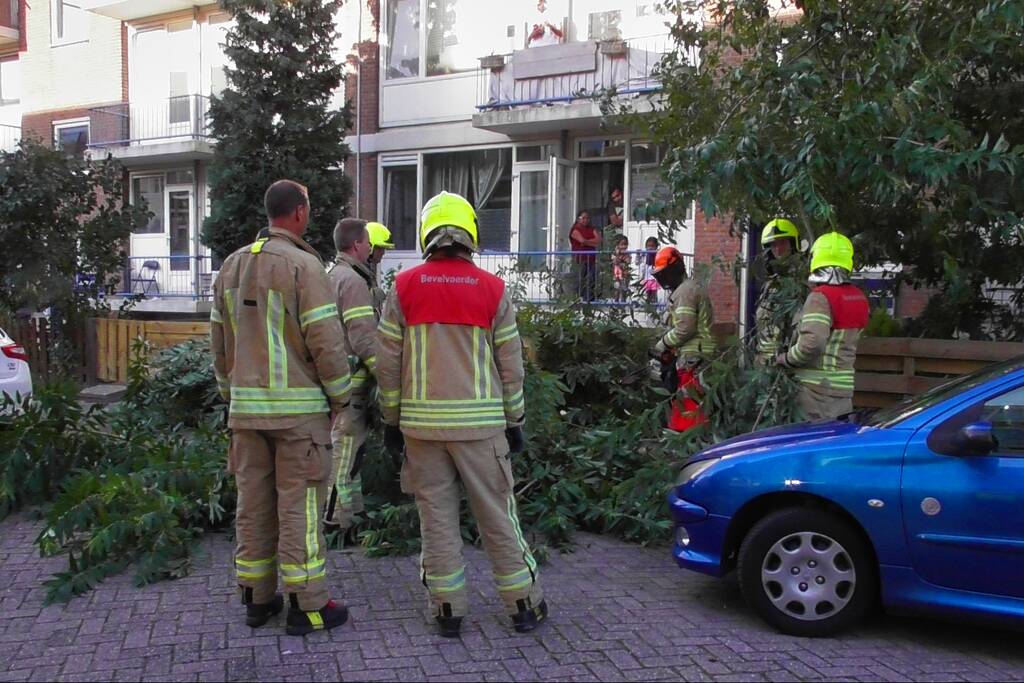 Tak breekt af en valt op auto