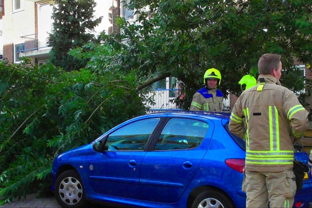 Tak breekt af en valt op auto