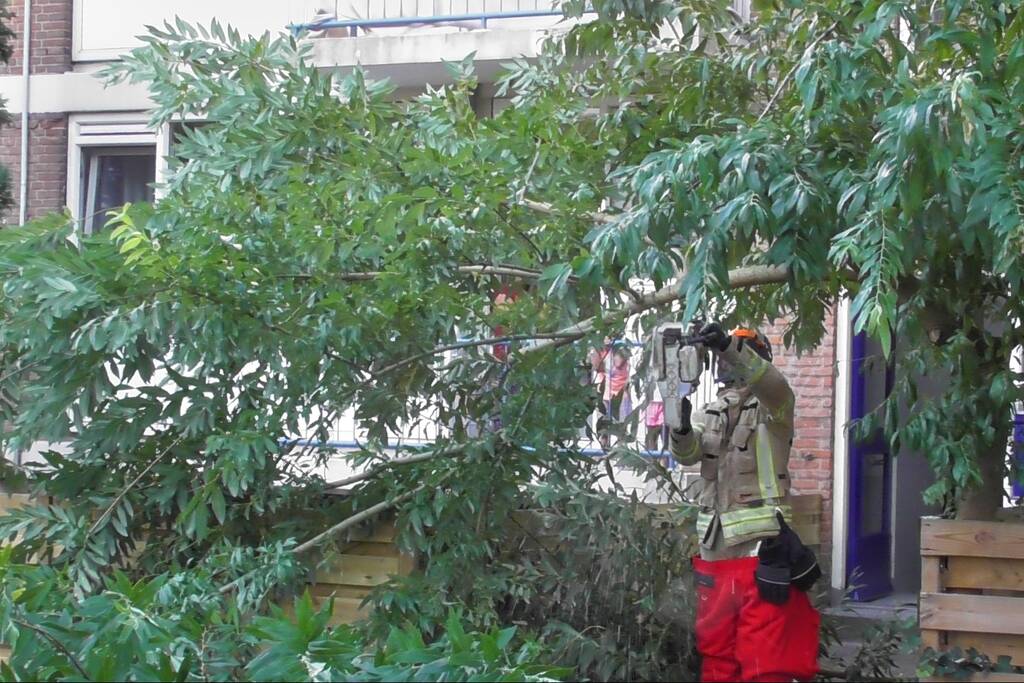 Tak breekt af en valt op auto