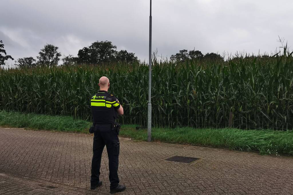 Politiehelikopter ingezet nadat persoon maïsveld invlucht