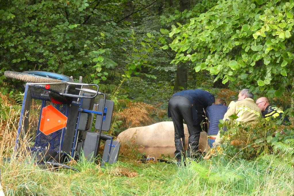 Paard schrikt en vliegt met kar over de kop