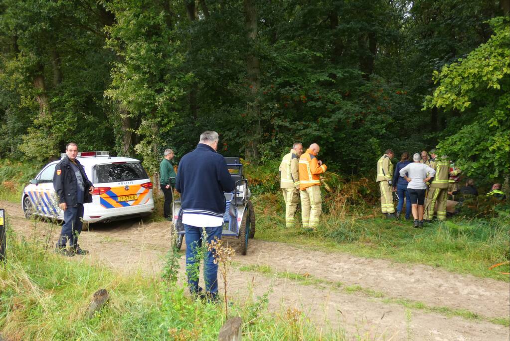 Paard schrikt en vliegt met kar over de kop