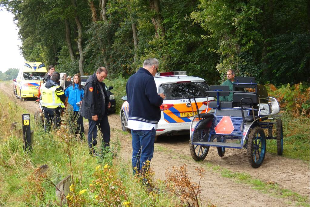 Paard schrikt en vliegt met kar over de kop