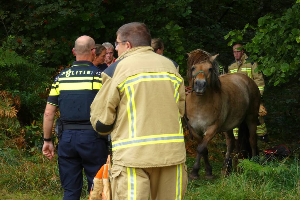 Paard schrikt en vliegt met kar over de kop