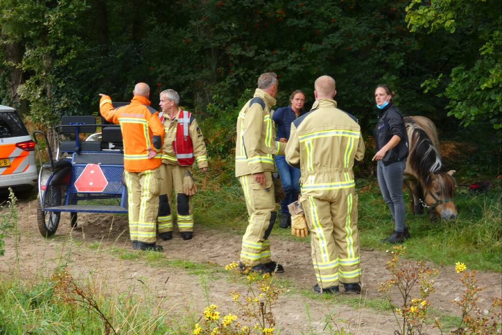 Paard schrikt en vliegt met kar over de kop