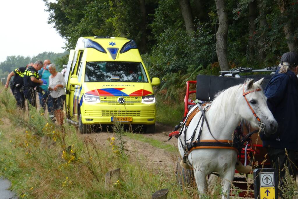 Paard schrikt en vliegt met kar over de kop