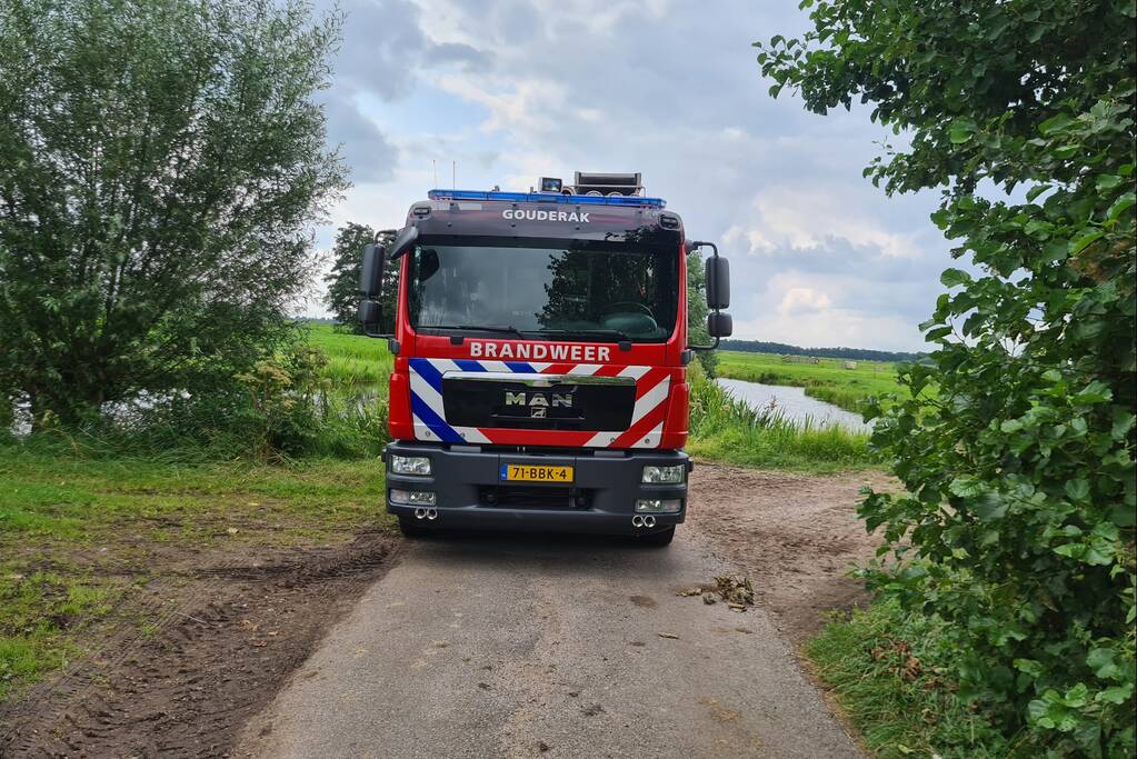 Brandweer bevrijdt koe uit sloot