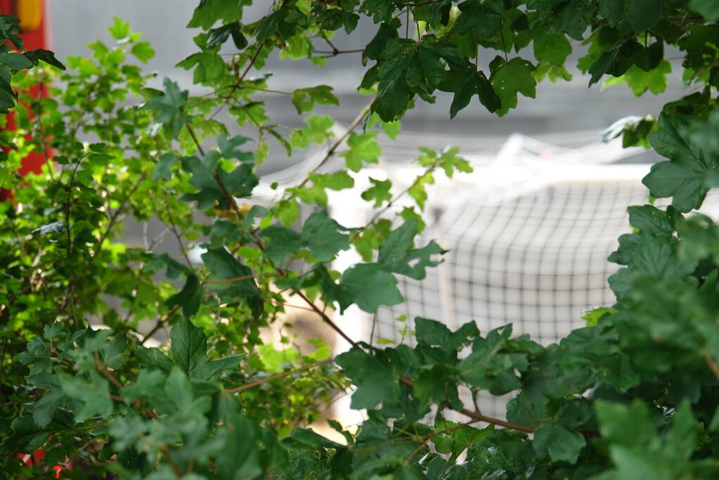 Hooibalen vliegen in brand