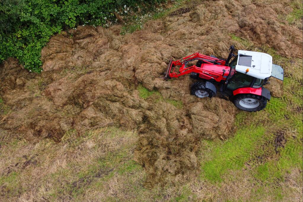 Hooibroei op boerenland