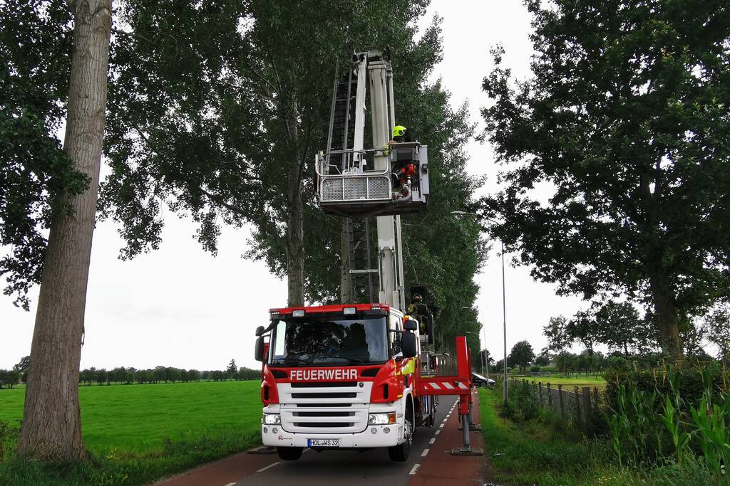 Brandweer verwijdert gevaarlijk hangende tak
