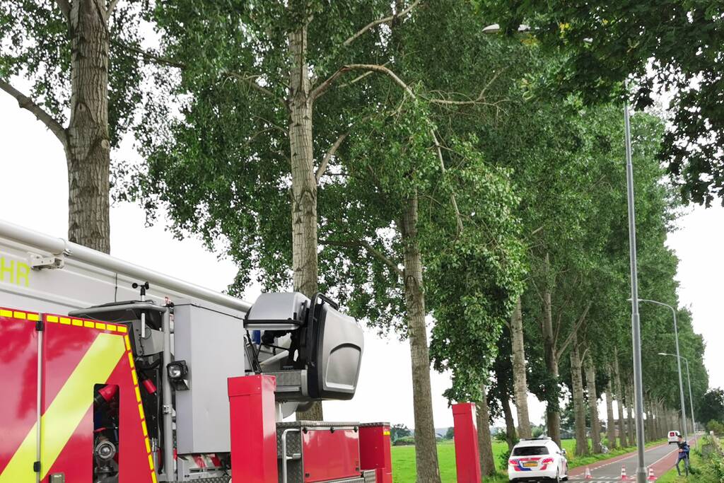 Brandweer verwijdert gevaarlijk hangende tak
