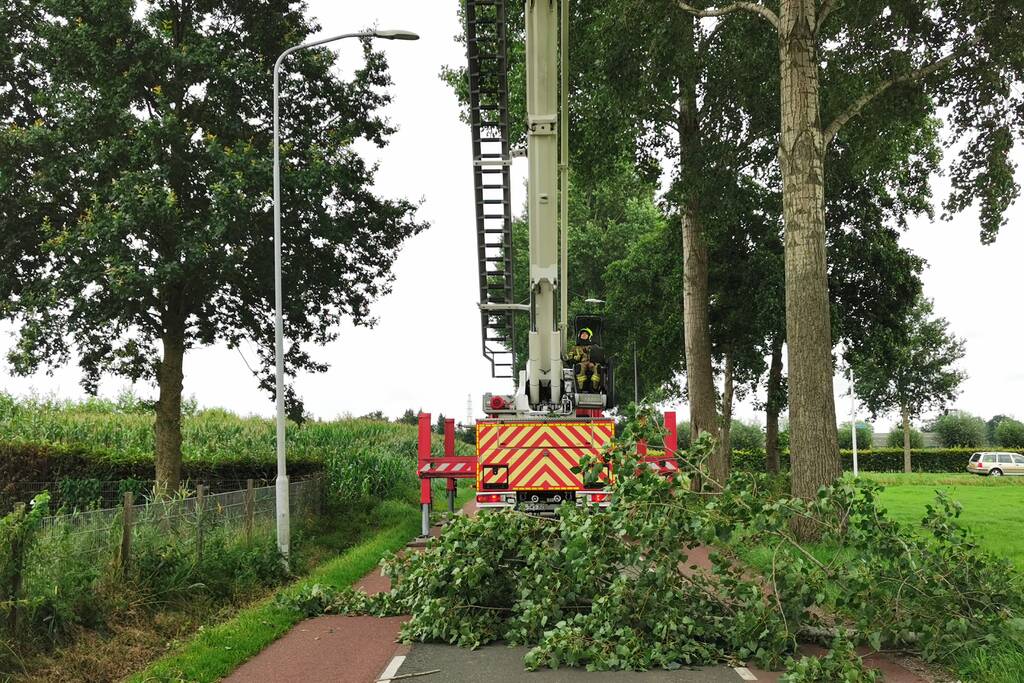 Brandweer verwijdert gevaarlijk hangende tak