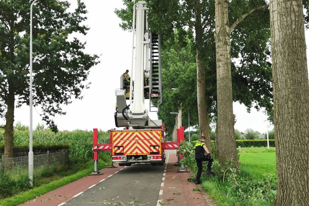 Brandweer verwijdert gevaarlijk hangende tak