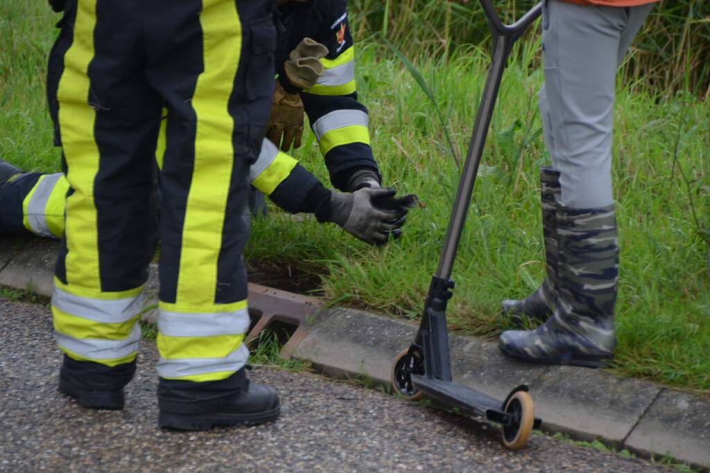 Meerkoet overleden door val in put