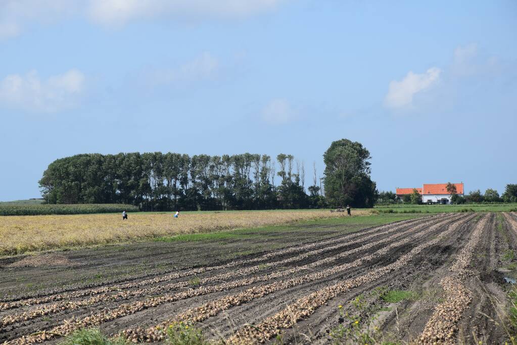 Jager gewond bij schietpartij