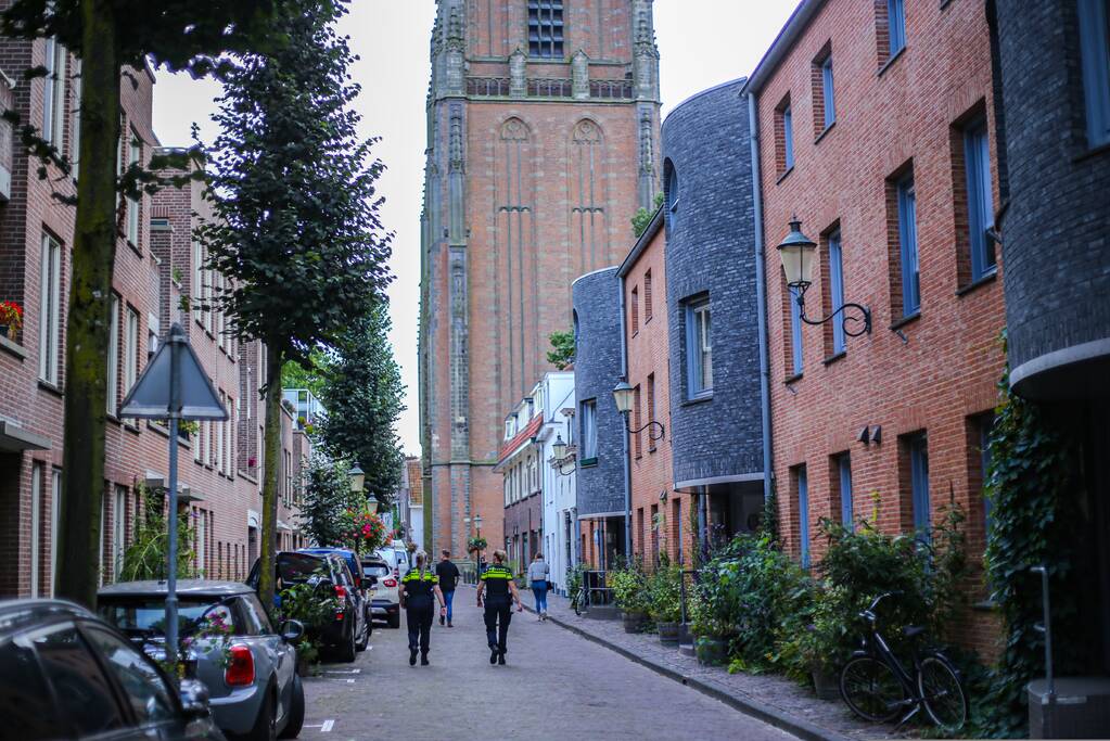 Man aangehouden wegens vernielingen
