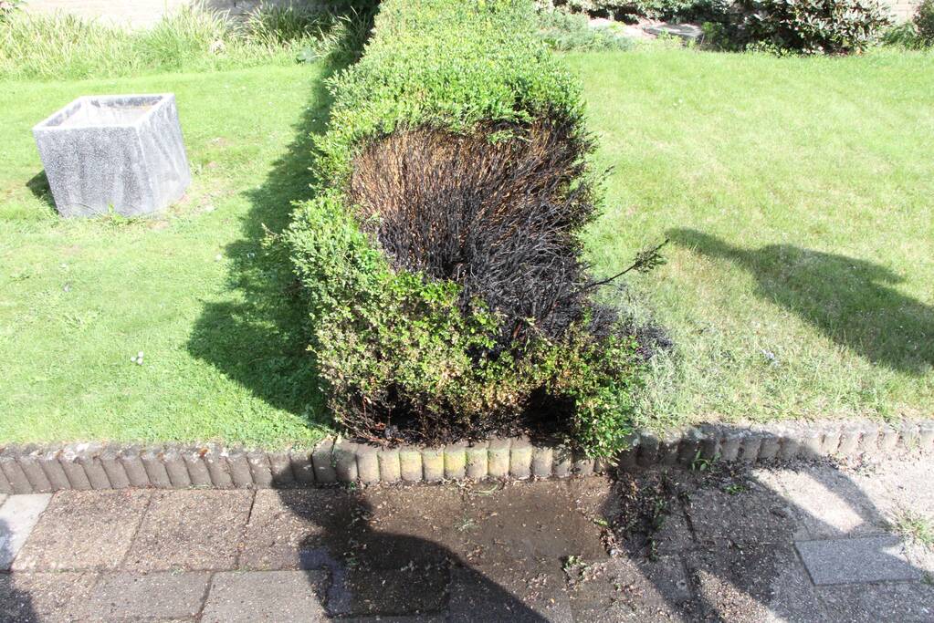 Jongeman 11-jaar blust brand in struiken na onkruid weg branden