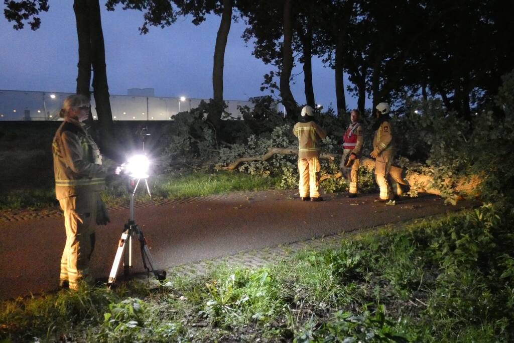 Twee grote bomen vallen op weg