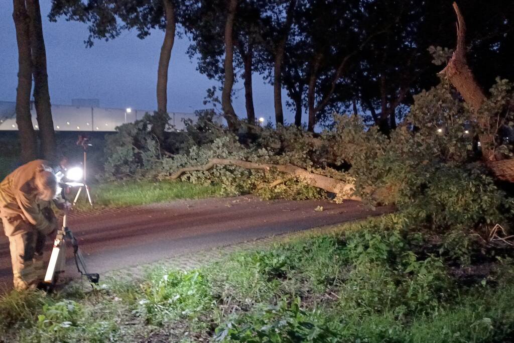Twee grote bomen vallen op weg