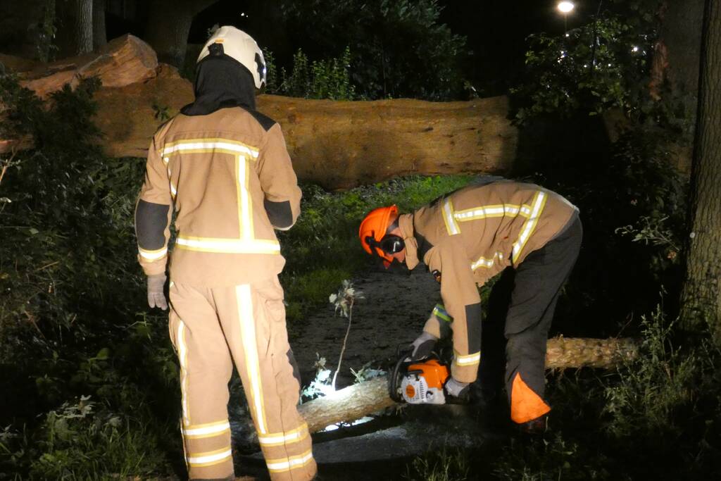 Twee grote bomen vallen op weg