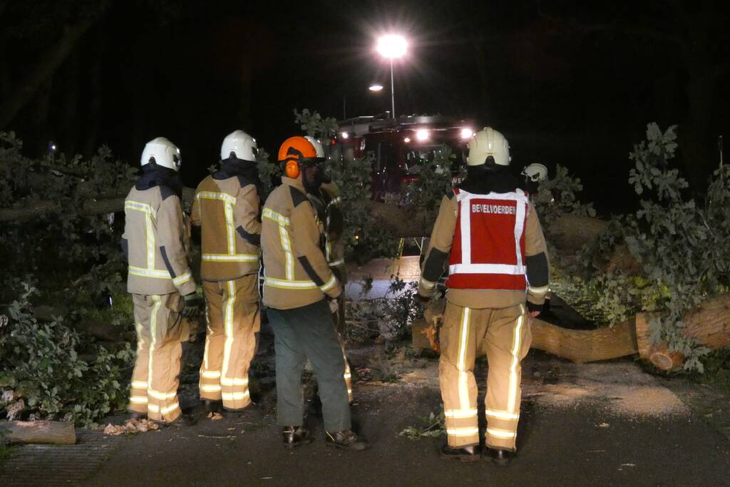 Twee grote bomen vallen op weg