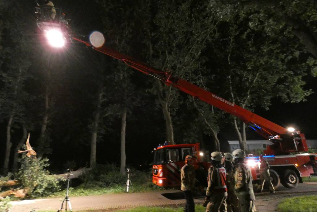 Twee grote bomen vallen op weg