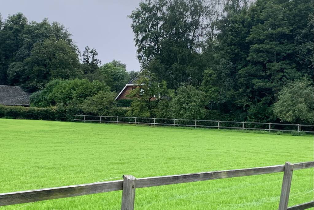 Schoorsteenbrand blijkt vogelnest