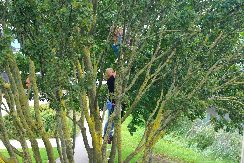 Brandweer haalt kind uit de boom