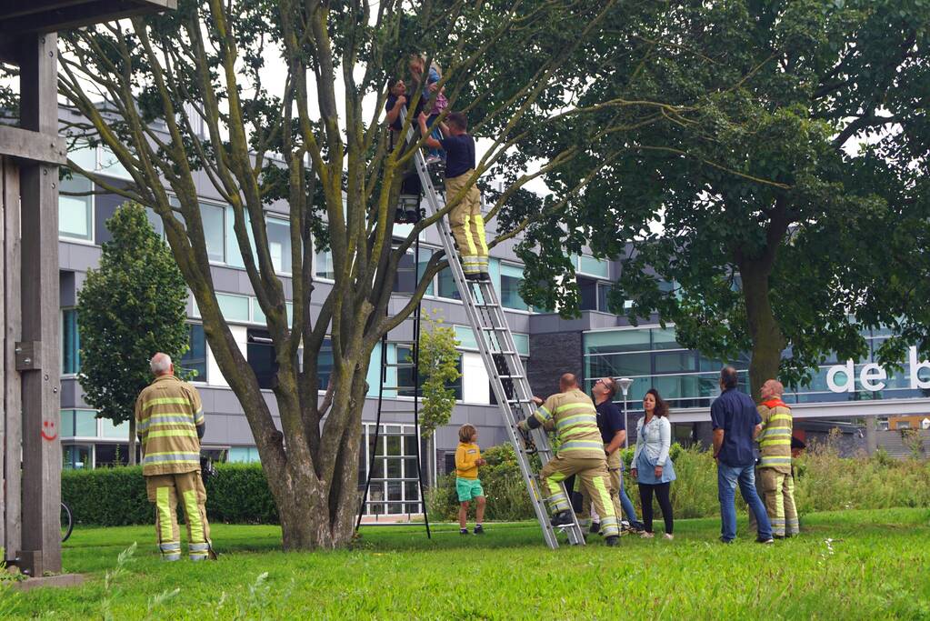 Brandweer haalt kind uit de boom