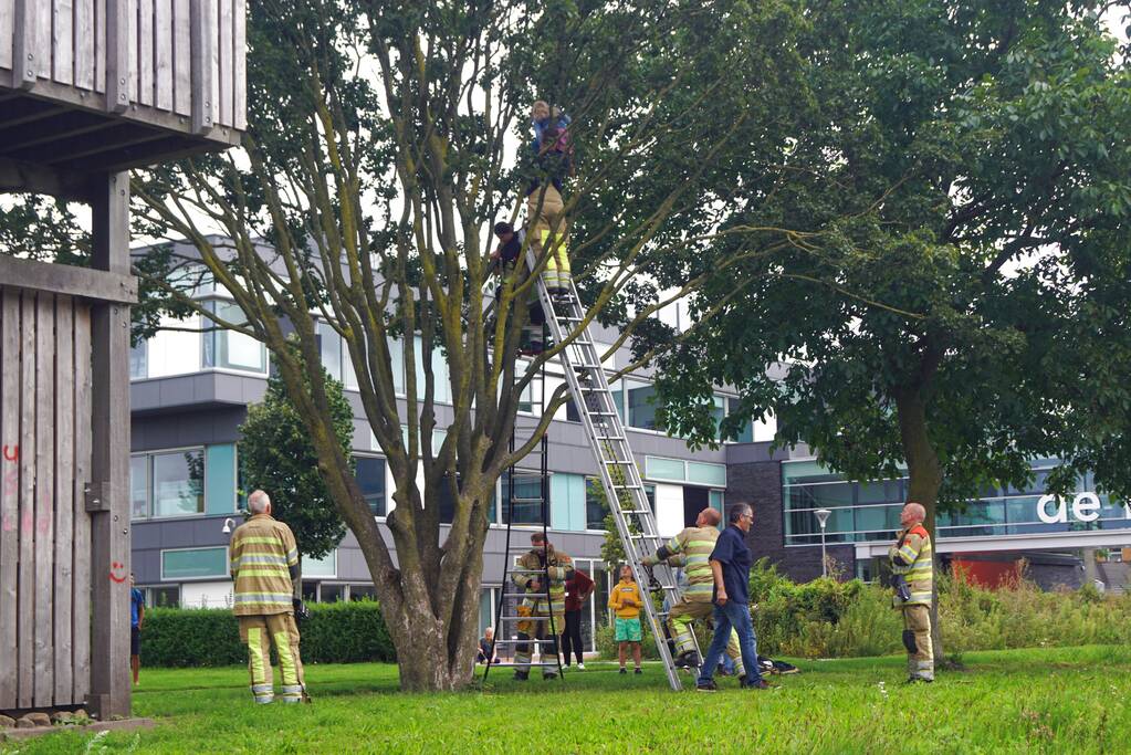 Brandweer haalt kind uit de boom