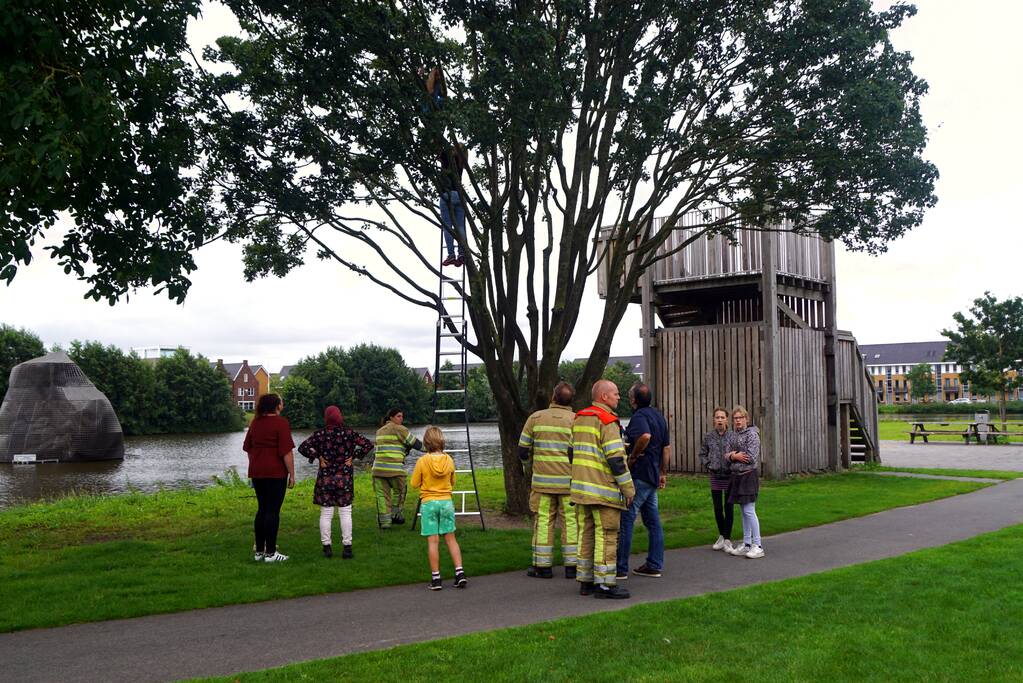 Brandweer haalt kind uit de boom