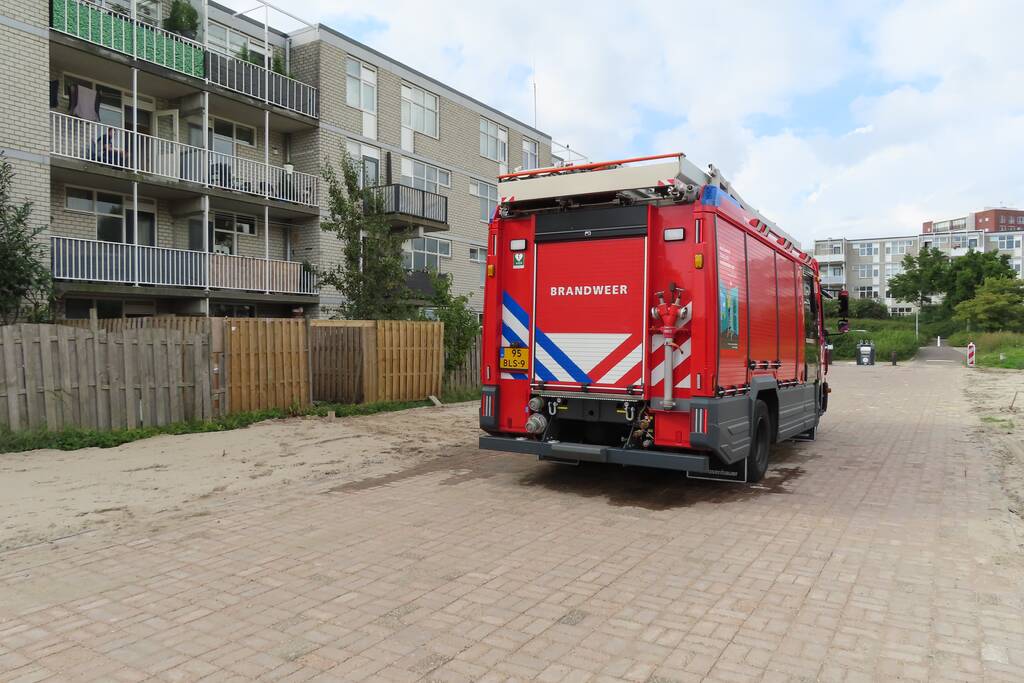 Kussens tuinset vatten vlam