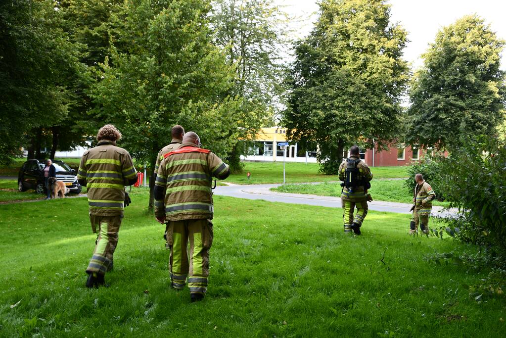 Brandweer blust brandende boom met emmers water