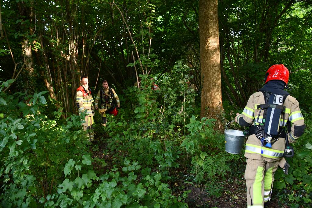 Brandweer blust brandende boom met emmers water