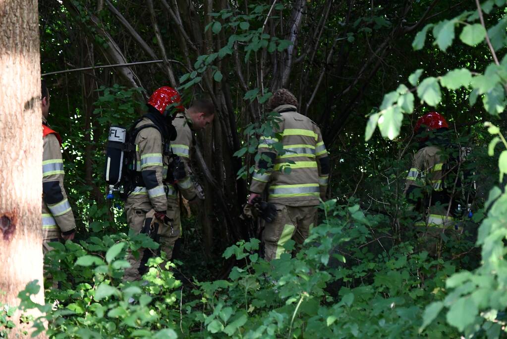 Brandweer blust brandende boom met emmers water