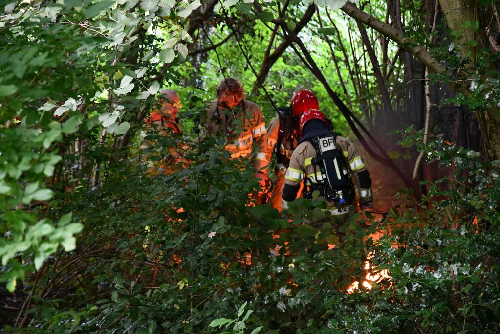 Brandweer blust brandende boom met emmers water