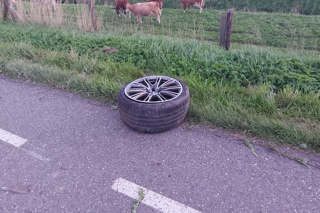 Bestuurder verliest macht over het stuur en botst tegen boom