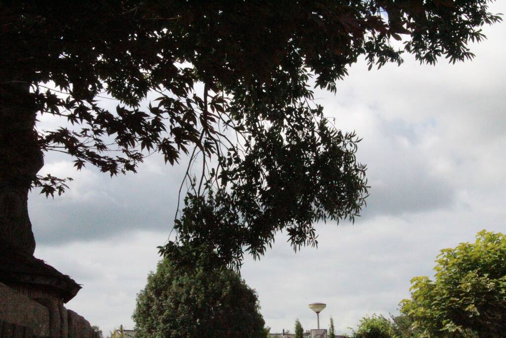 Buurtbewoners halen auto's weg voor gevaarlijk hangende tak