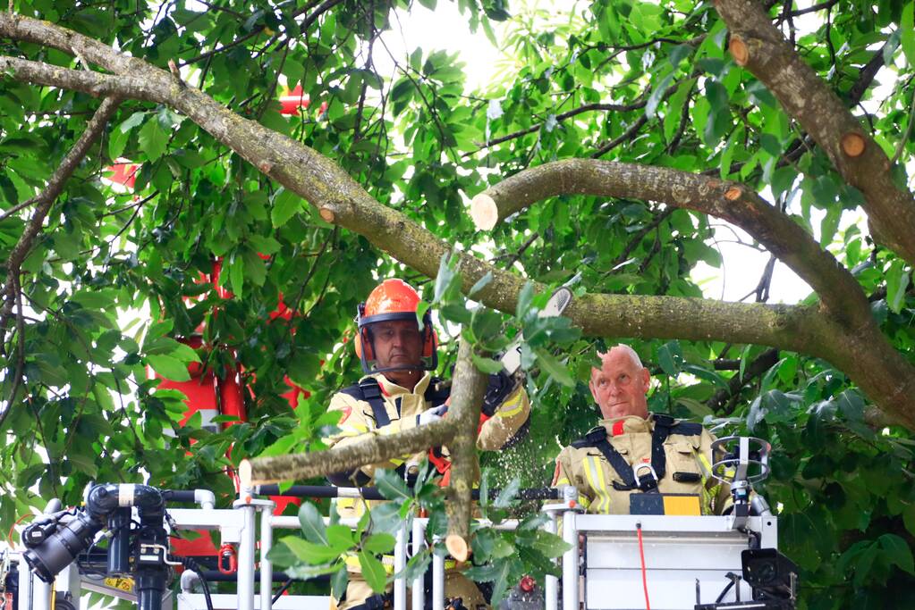 Buurtbewoners halen auto's weg voor gevaarlijk hangende tak
