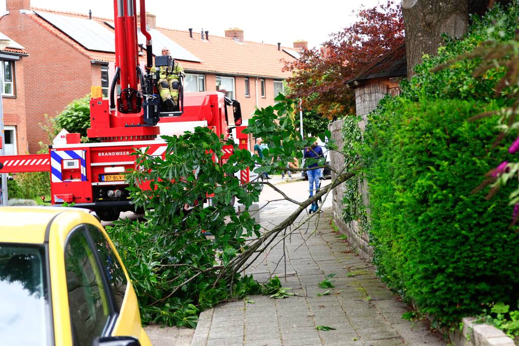 Buurtbewoners halen auto's weg voor gevaarlijk hangende tak